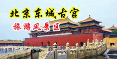 大鸡巴爆操黑丝小少妇中国北京-东城古宫旅游风景区